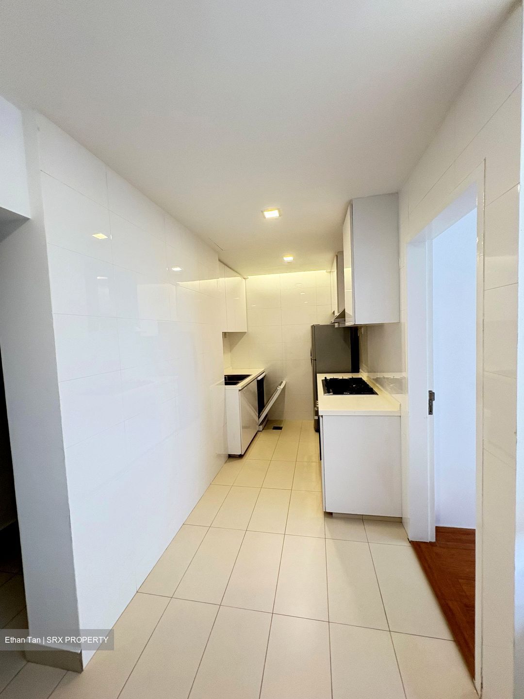 Nassim Regency (D10), Condominium #581608691